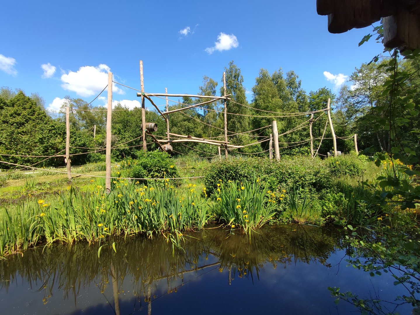 Capuchin monkey island