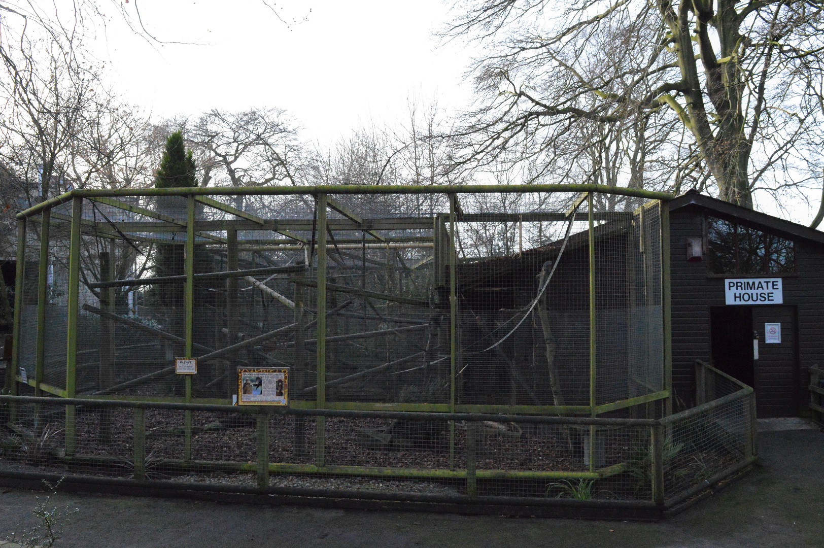 Capuchin outdoor enclosure