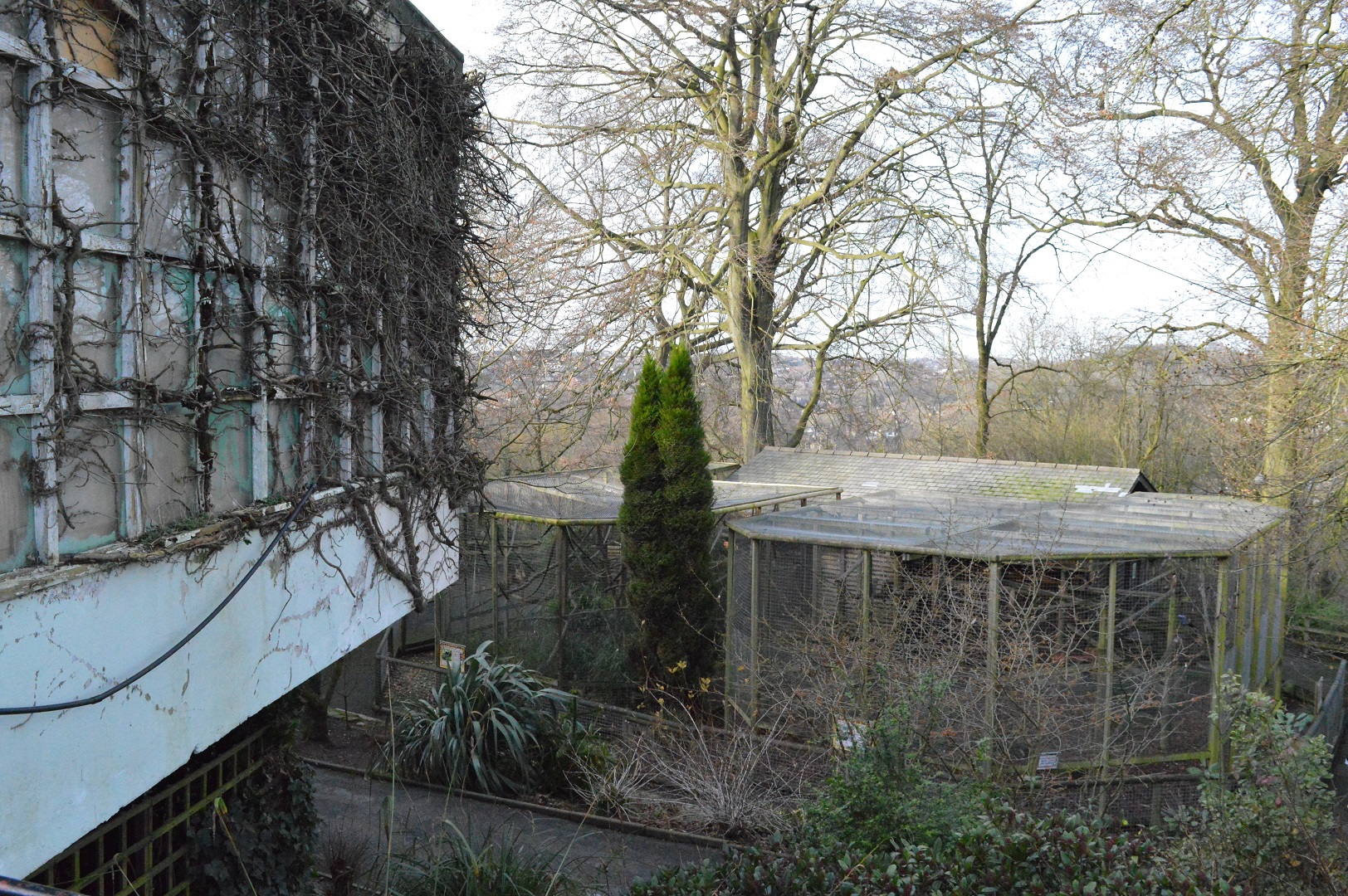 Capuchin outdoor enclosure