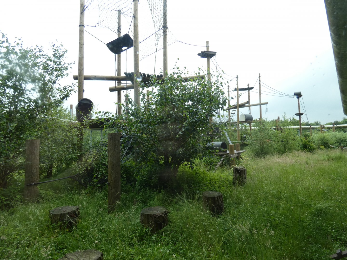 Capuchin outdoor enclosure