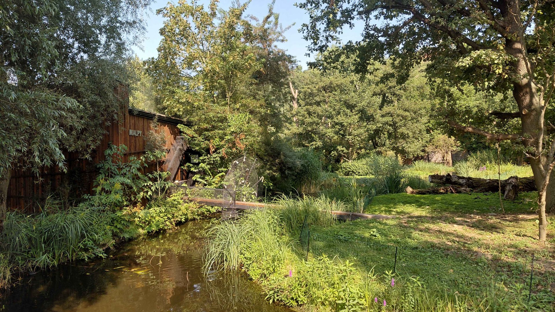 Capuchin outdoor exhibit