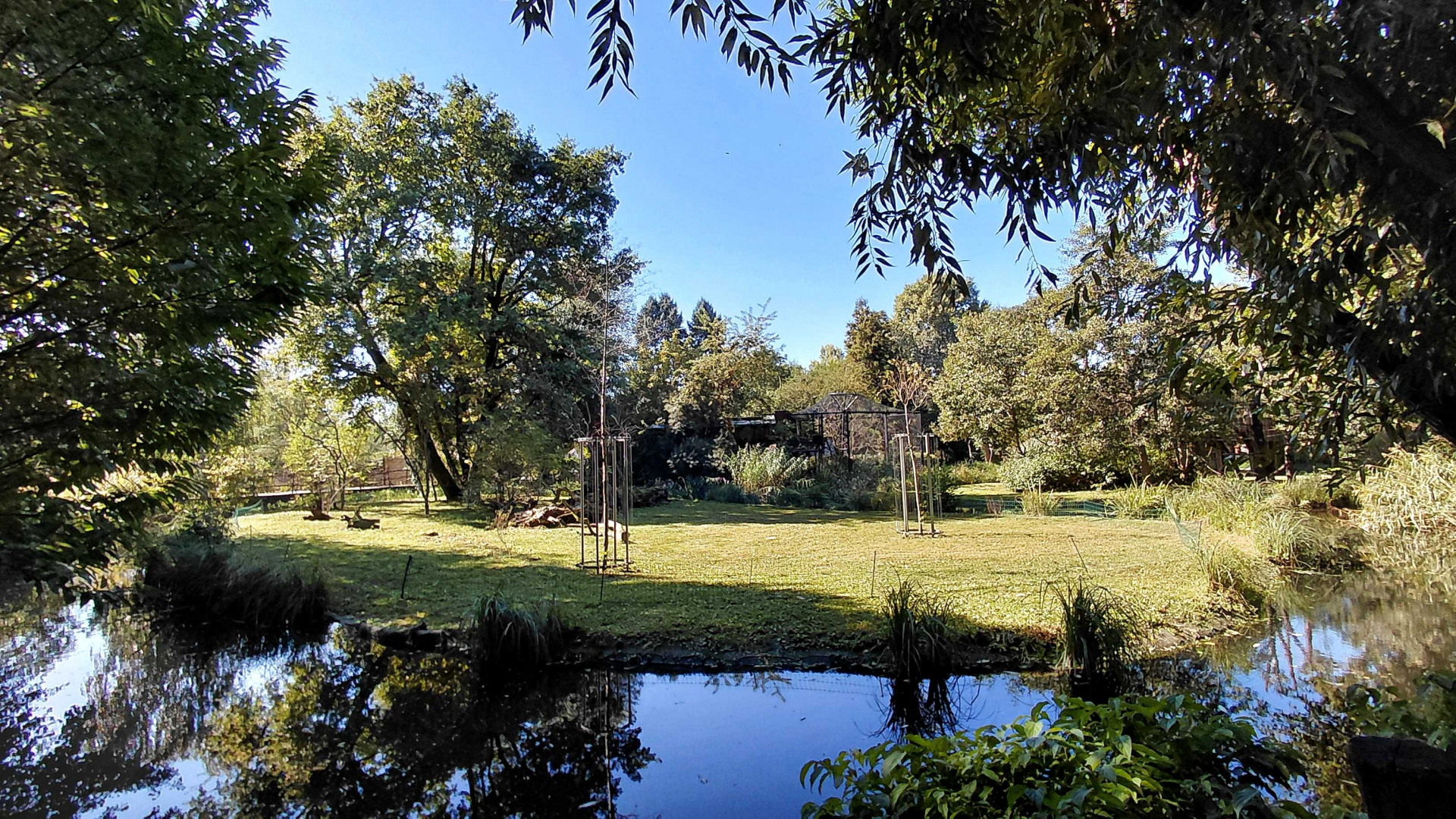 Capuchin outdoor exhibit