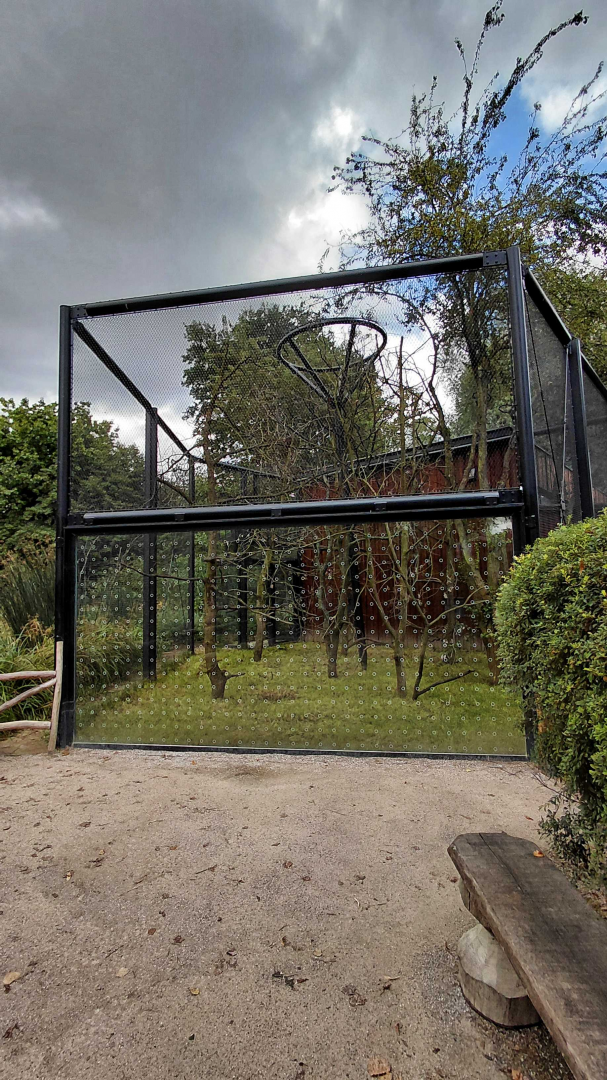 Capuchin outdoor exhibit