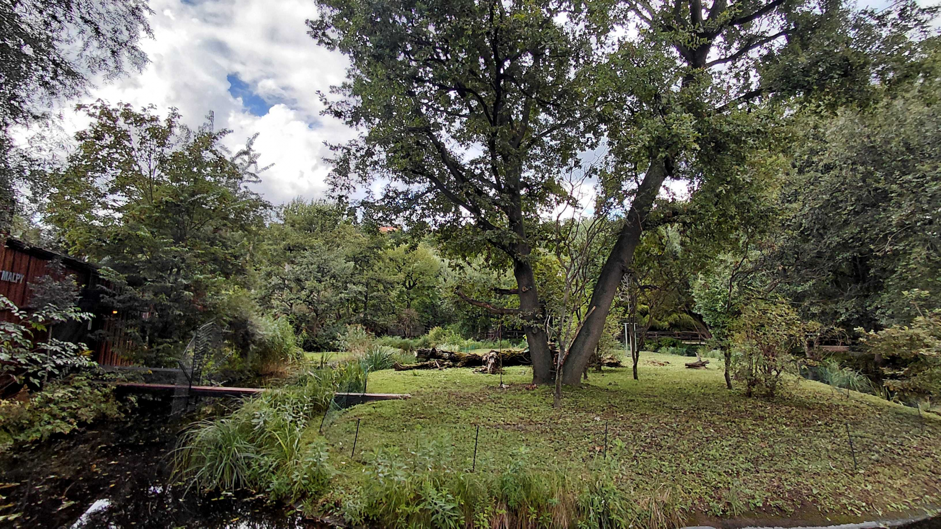 Capuchin outdoor exhibit