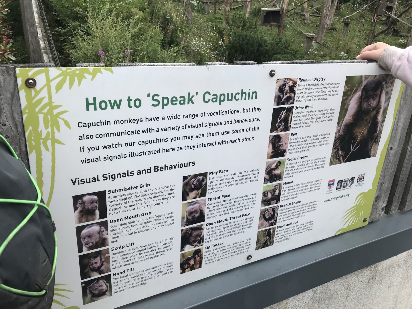 Capuchin signage