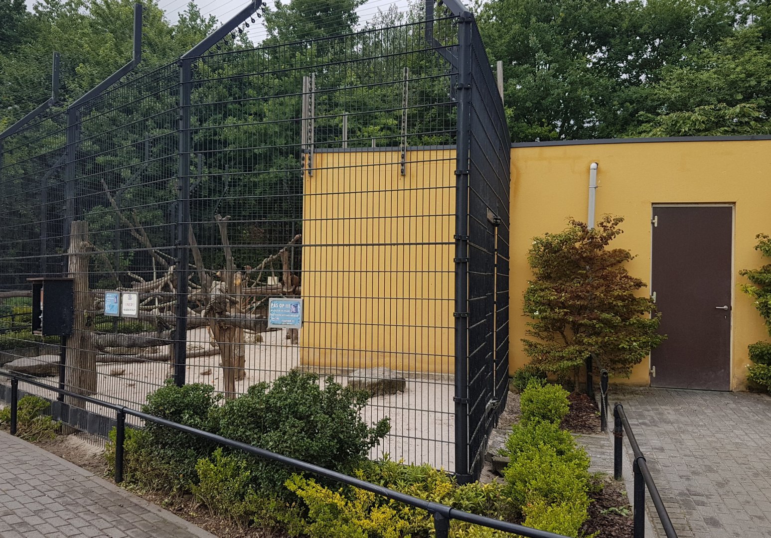 Capucine monkey-enclosure