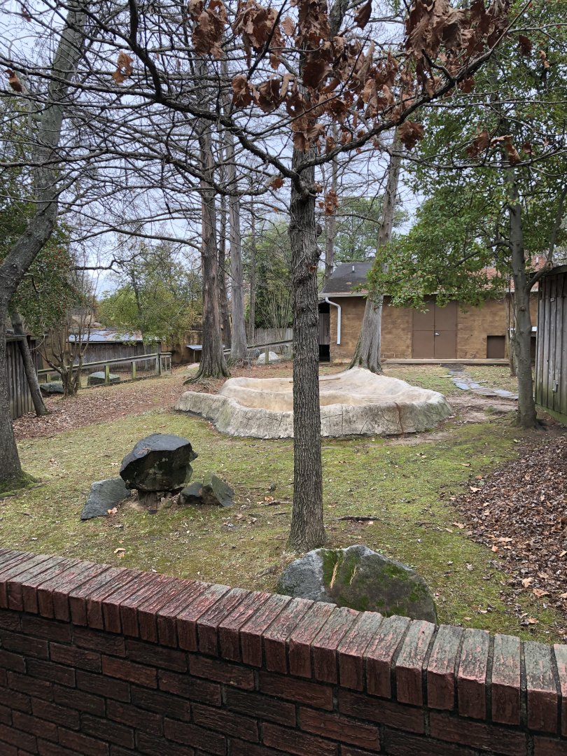 Capybara and Box Turtle Exhibit