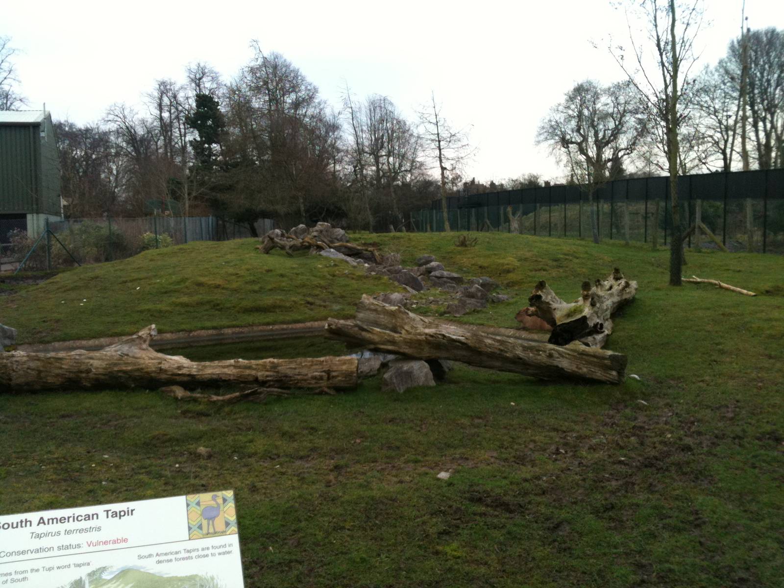 Capybara and Brazilian Tapir Enclosure - 16/02/2011