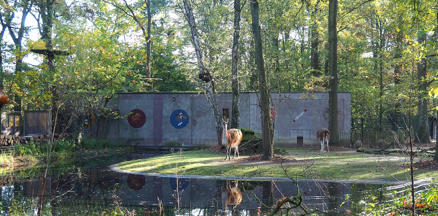 Capybara and Callitrichid house and part of Capybara and guanaco paddock, 2022-11-12