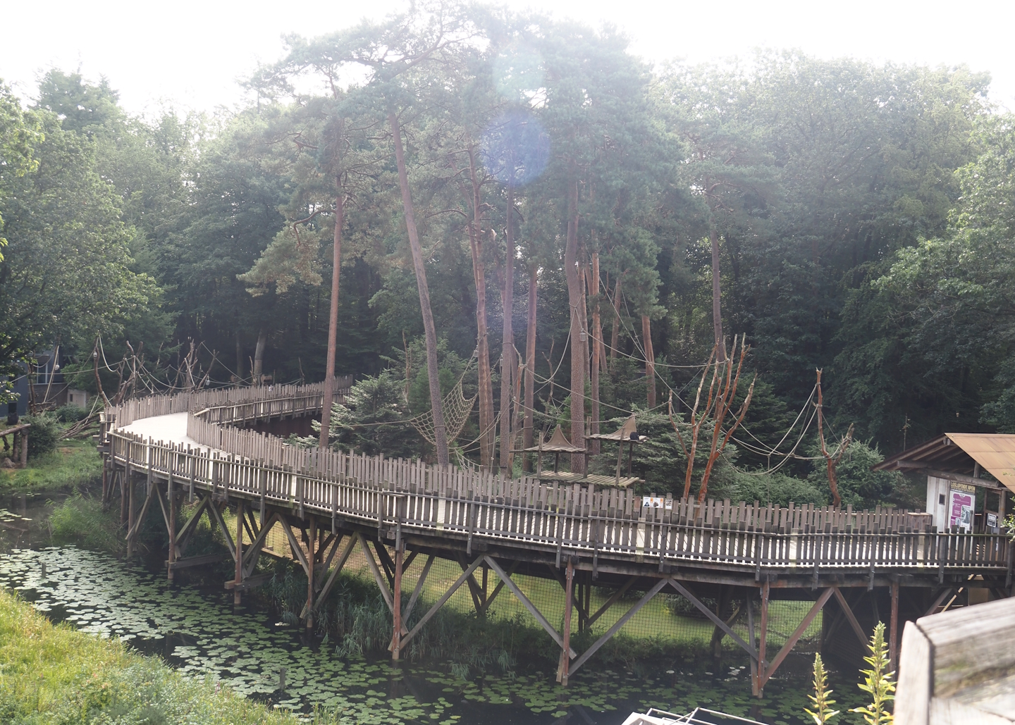 Capybara and Colombian black spider monkey exhibit and visitor boardwalk seen from the viewing area on the bonobo building, 2024-08-18