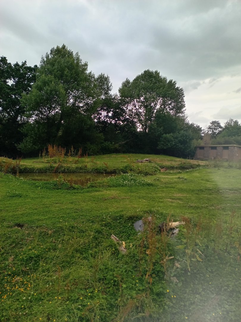 Capybara and Giant Anteater enclosure