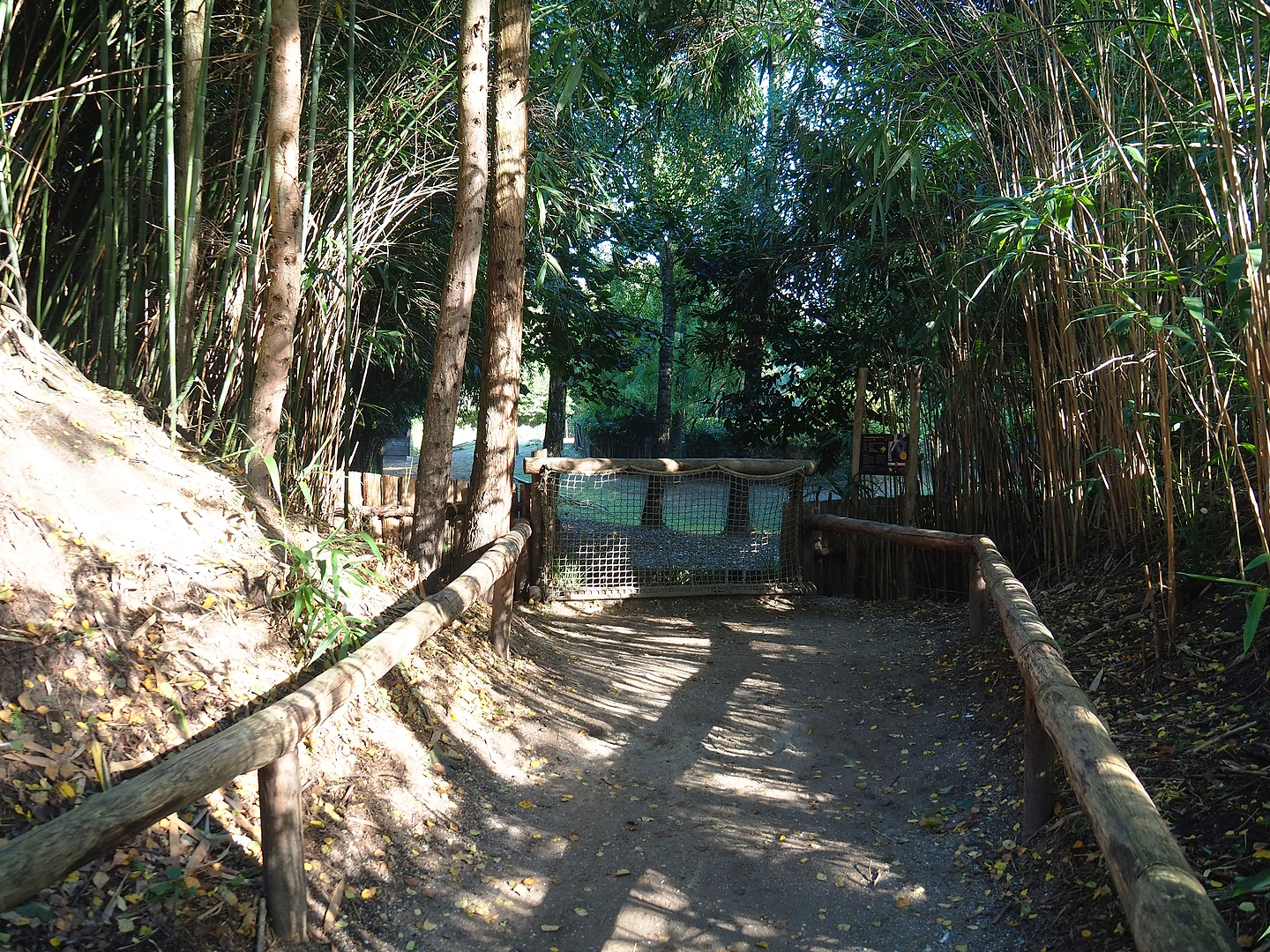 Capybara and Lowland tapir exhibit viewing area, 2022-10-09