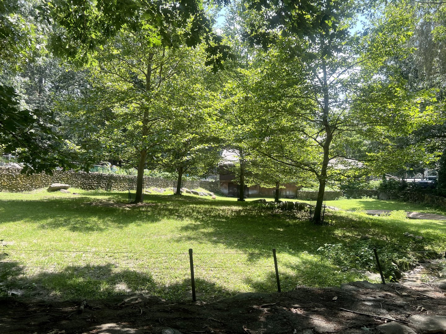 Capybara and Lowland Tapir Exhibit
