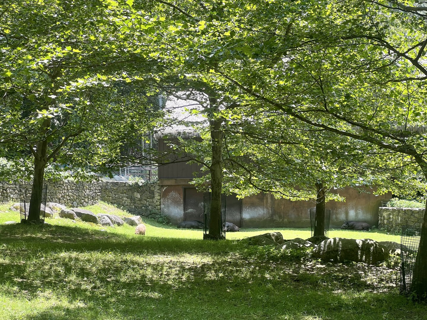 Capybara and Lowland Tapir Exhibit