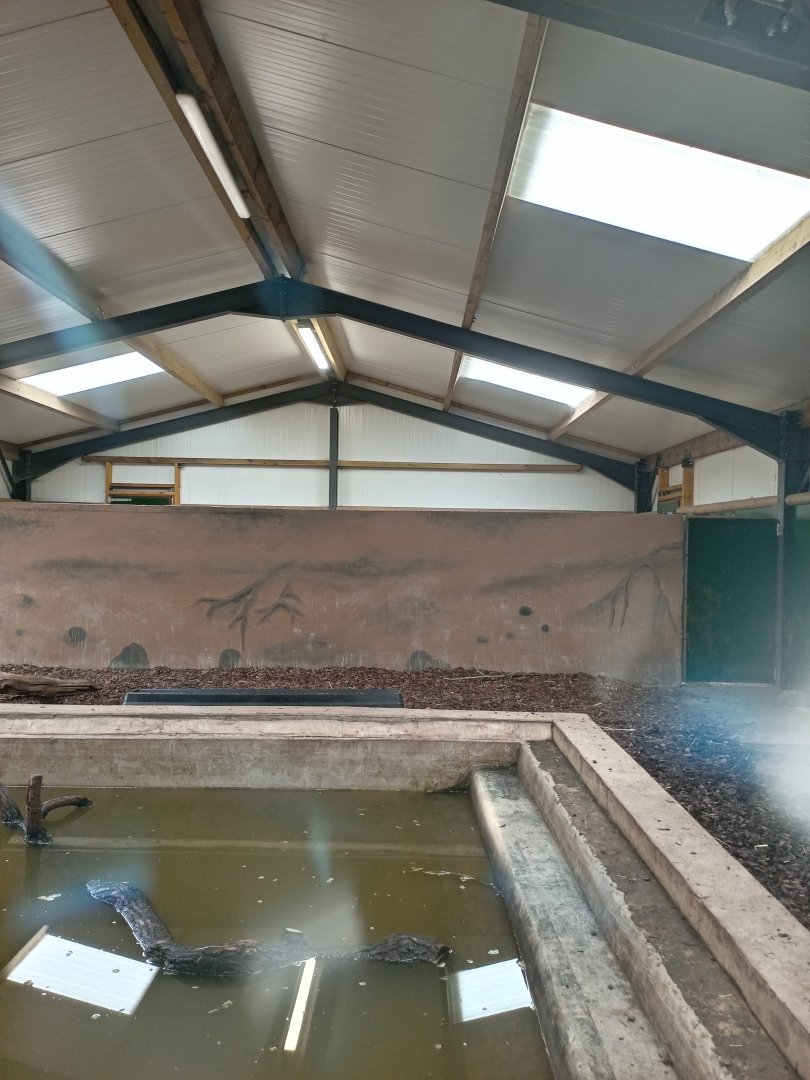 Capybara and Lowland Tapir indoor enclosure