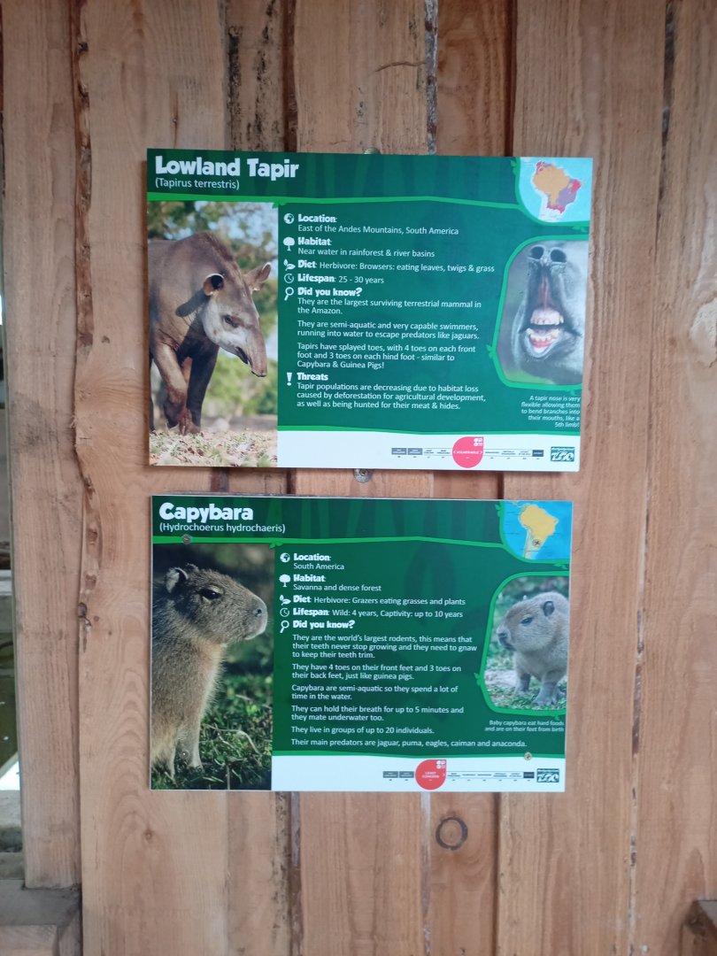 Capybara and Lowland Tapir signage
