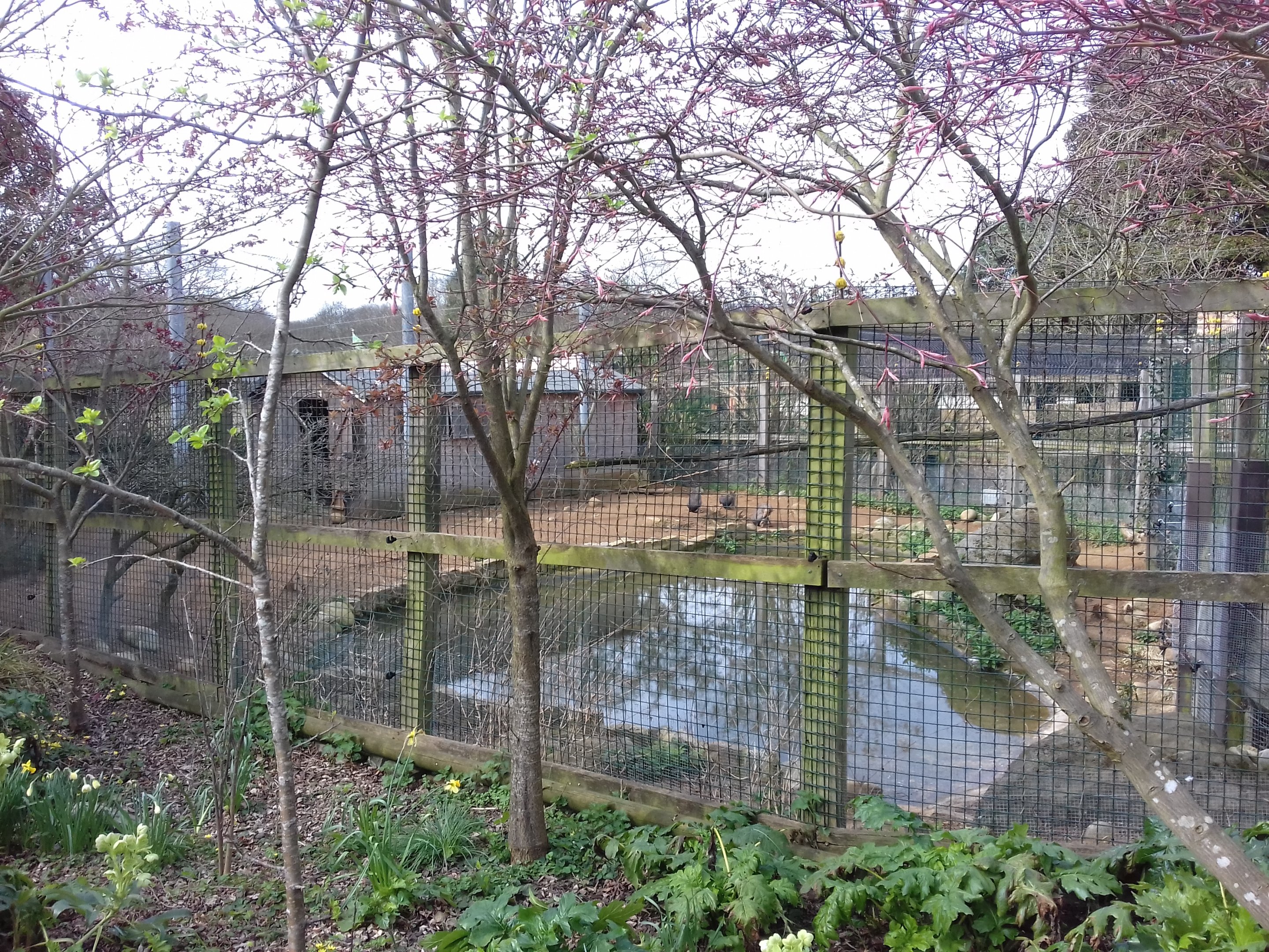 Capybara and Mara enclosure