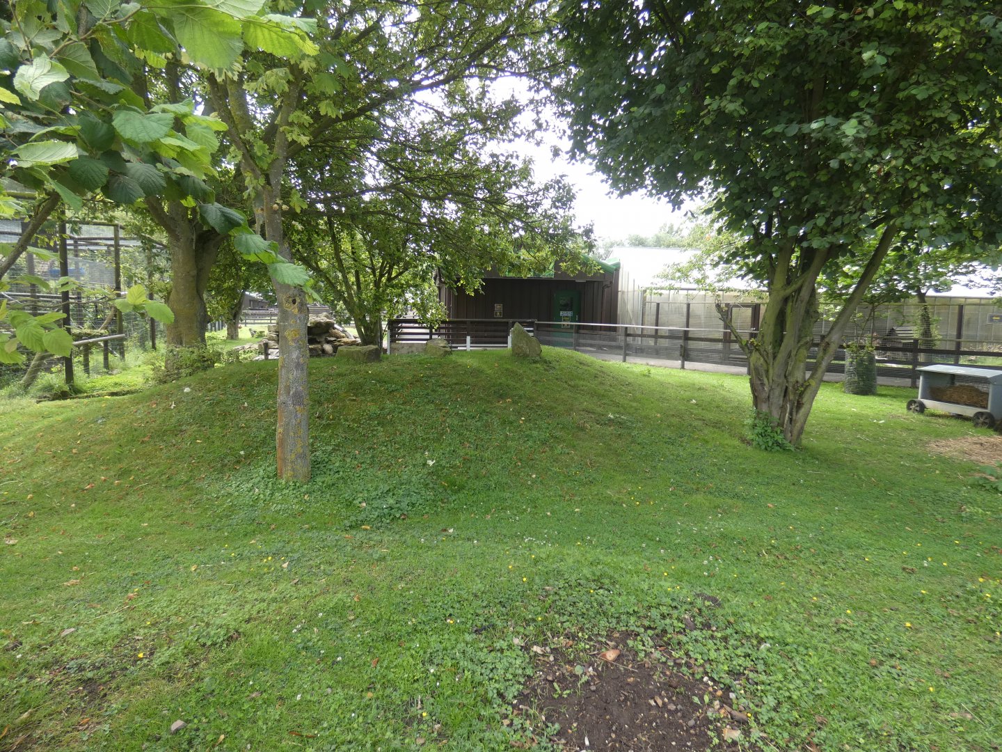 Capybara and Mara enclosure