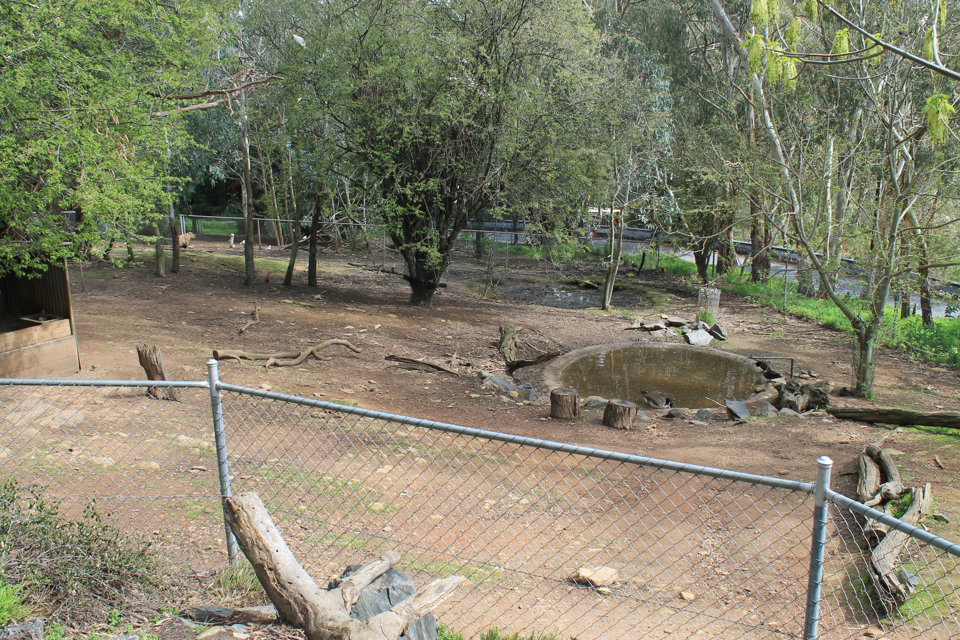 Capybara and Mara enclosure