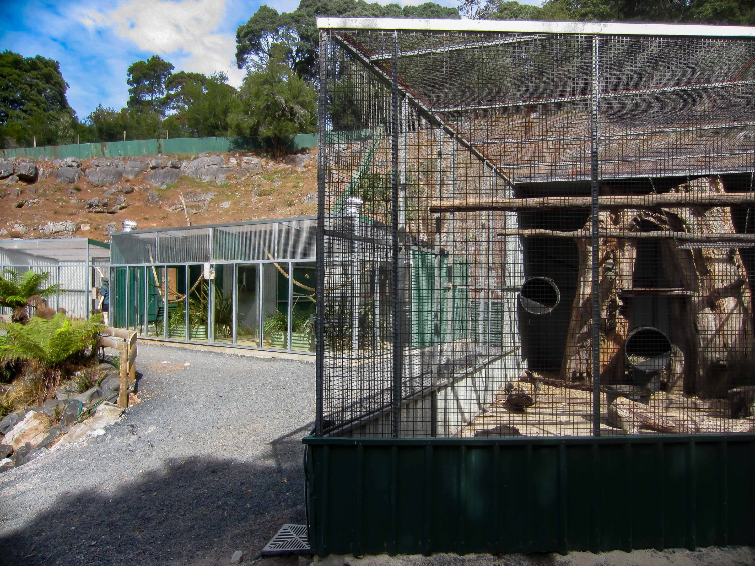 Capybara and marmoset enclosures