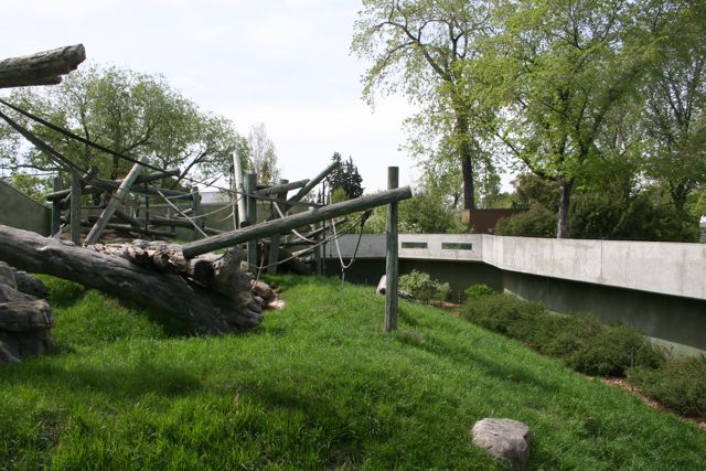 Capybara and Spider Monkey Exhibit