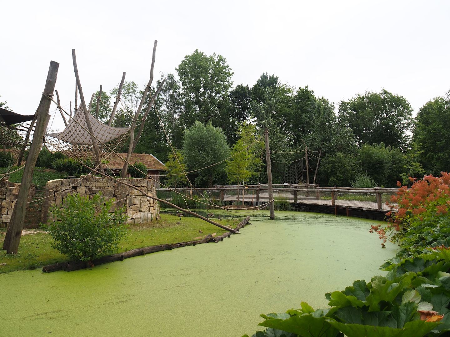 Capybara and Yellow-breasted capuchin exhibit and visitor boardwalk between monkey islands, 2023-07-18