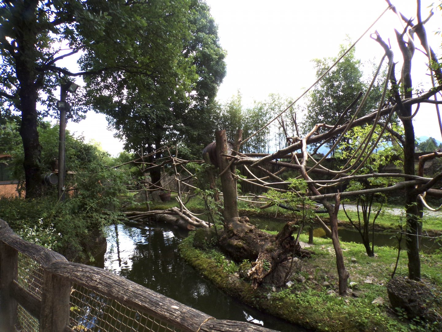 Capybara, Black-capped capuchin and turtle enclosure 13.7.25
