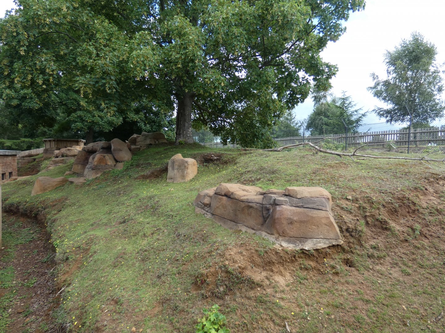 Capybara Caves (Capybara enclosure 2)