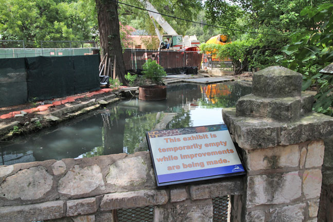 capybara construction