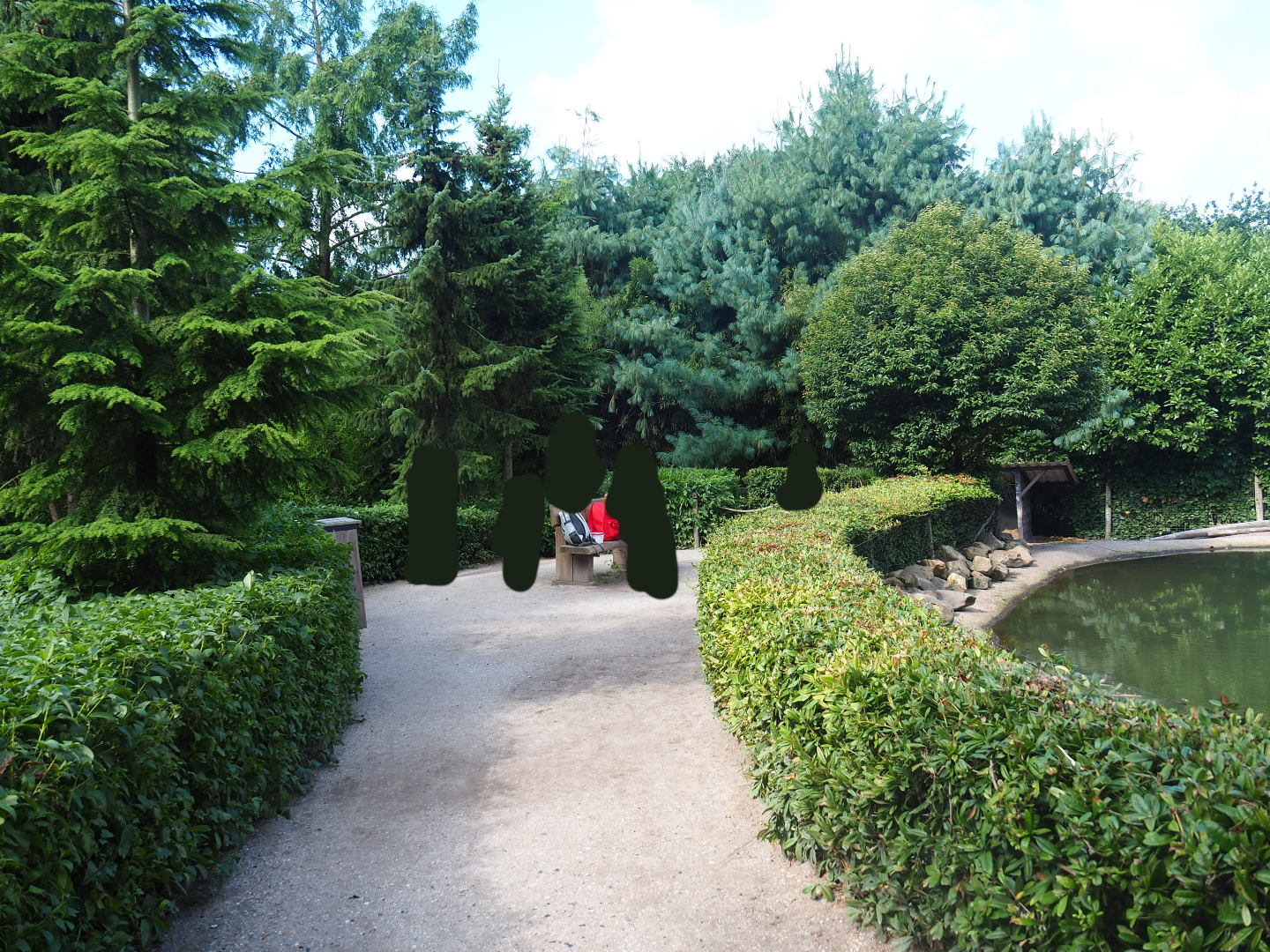Capybara, Crested screamer and South American tapir viewing area, 2019-08-11