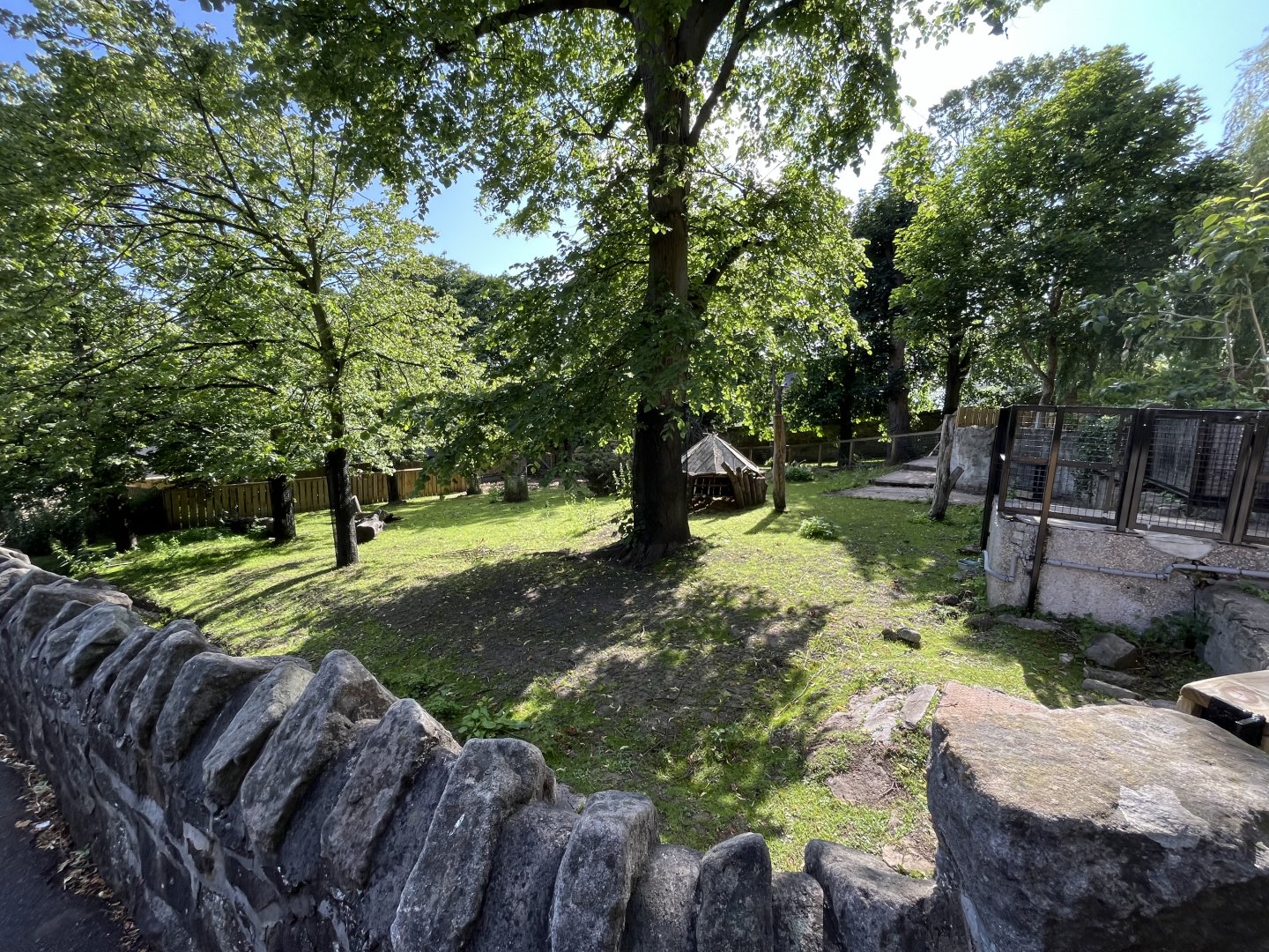 Capybara enclosure 0.5 22.6.25