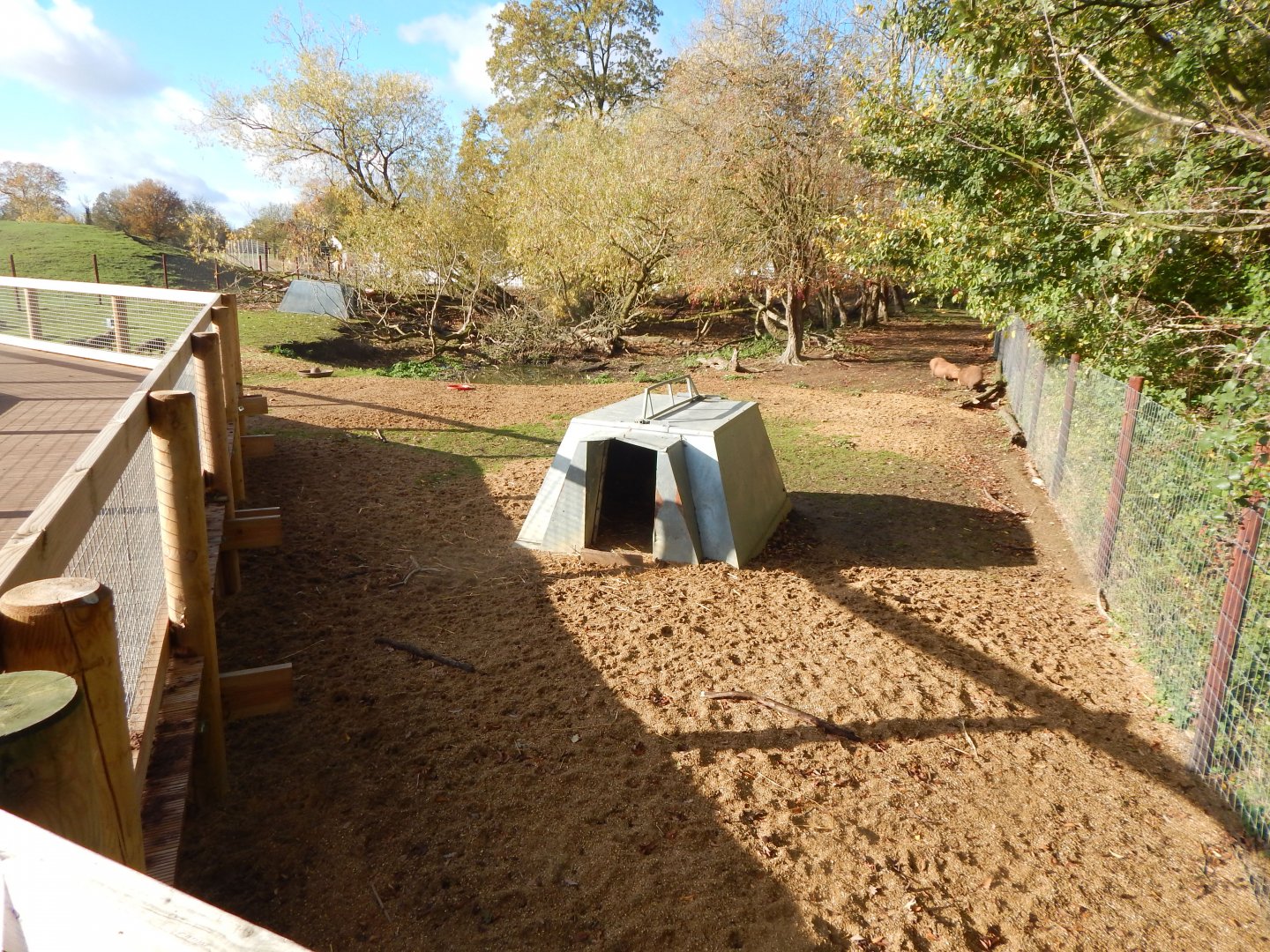 Capybara enclosure 021125