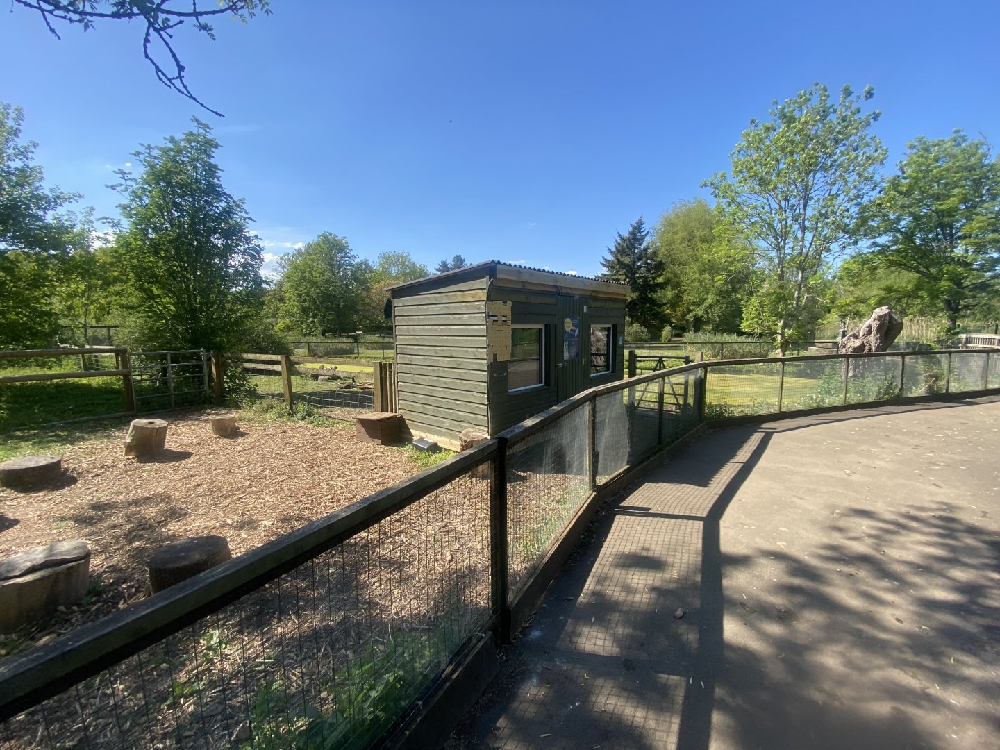 Capybara enclosure 090525