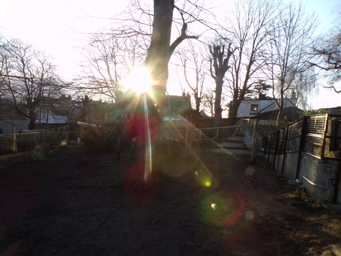 Capybara enclosure 1.3.25