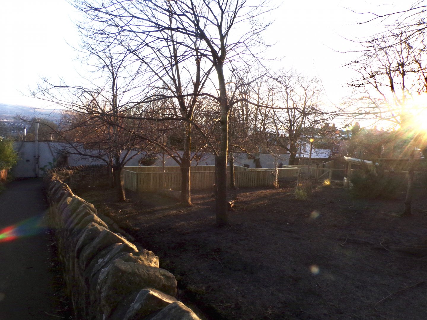 Capybara enclosure 1.3.25