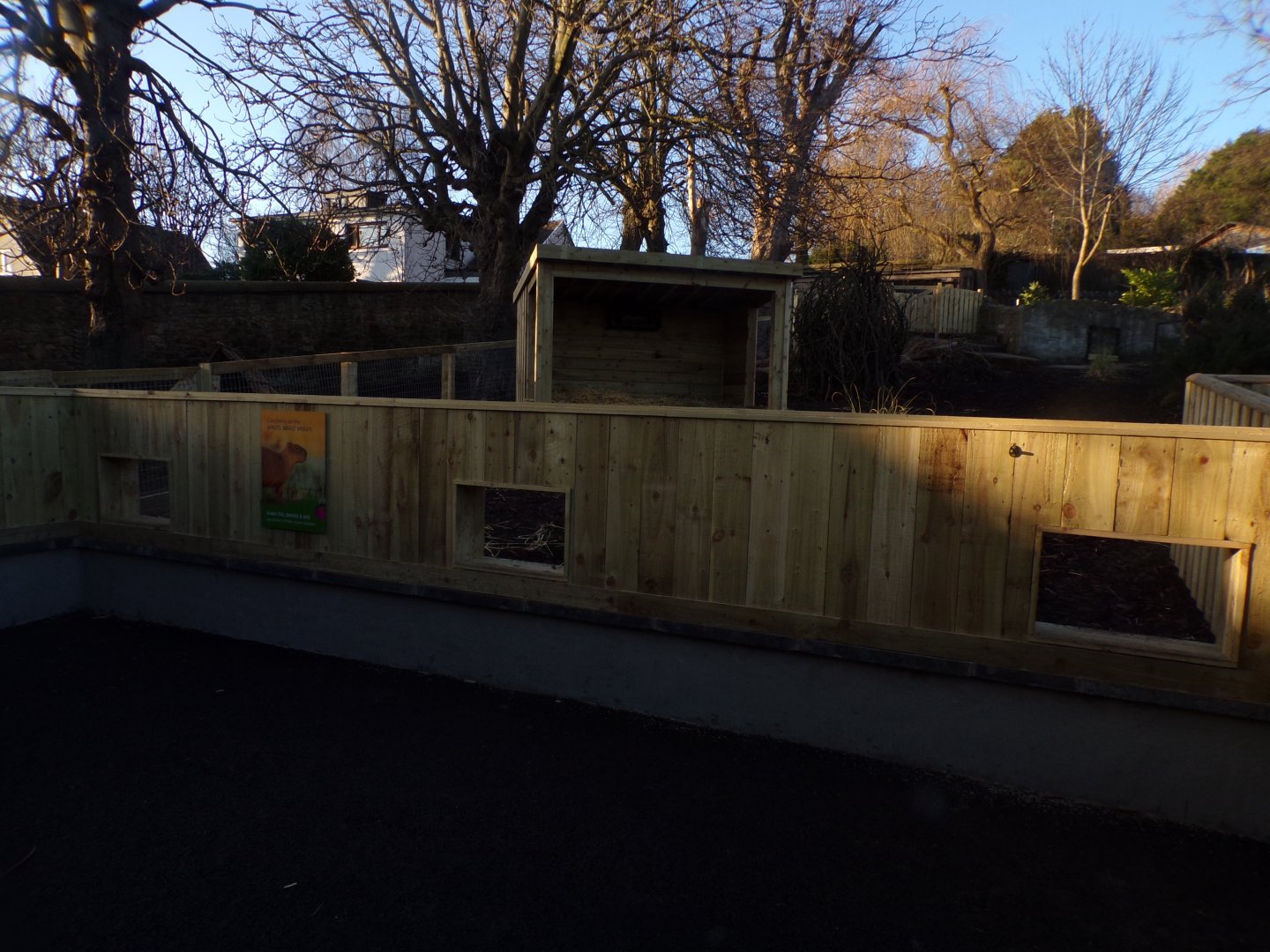 Capybara enclosure 1.3.25