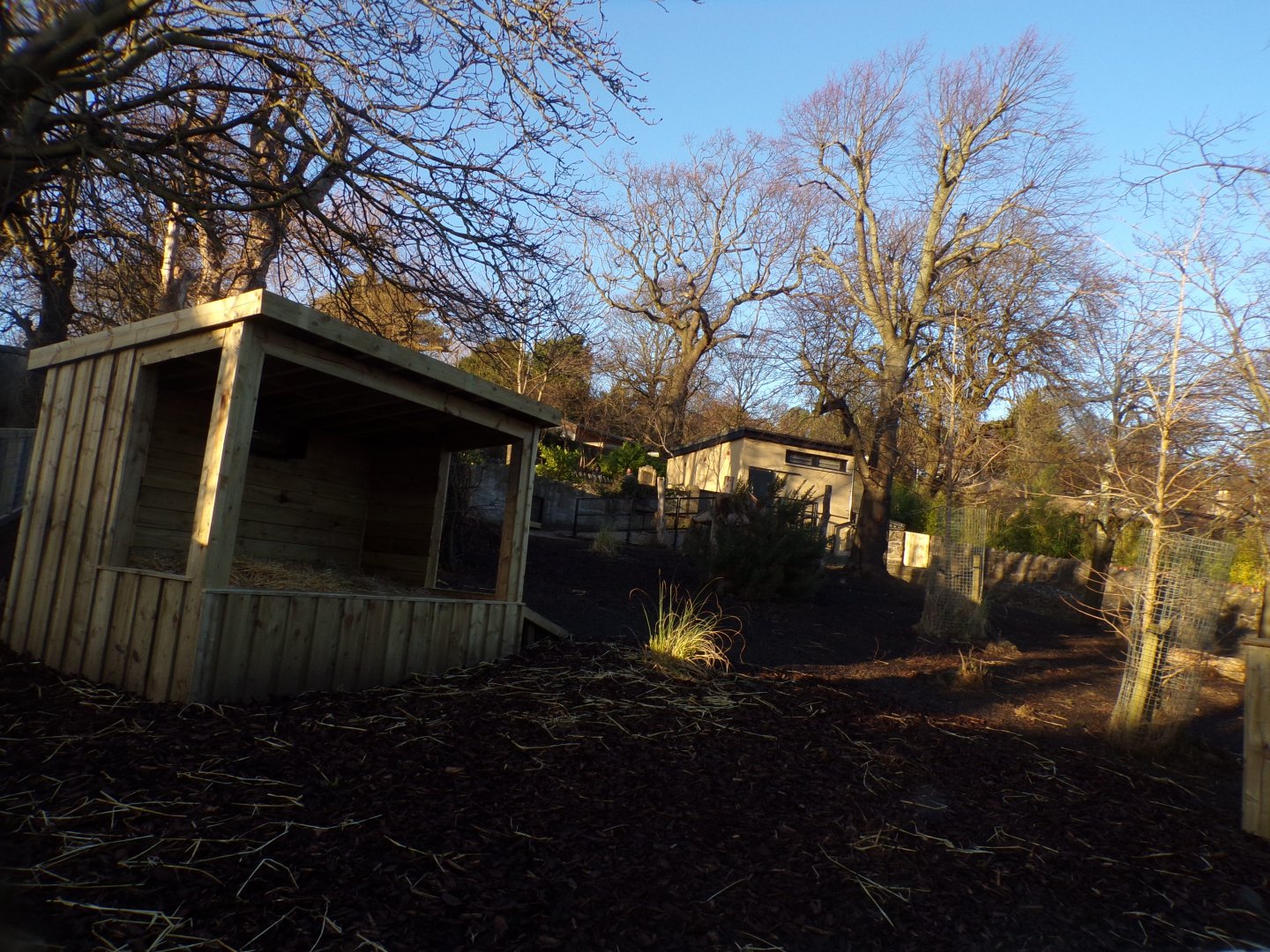 Capybara enclosure 1.3.25