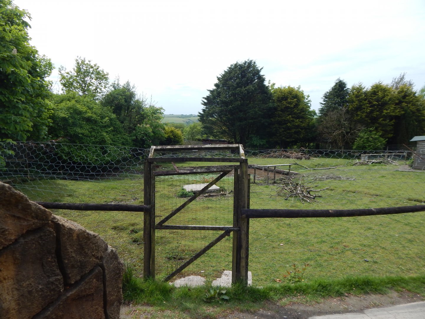 Capybara enclosure 150522