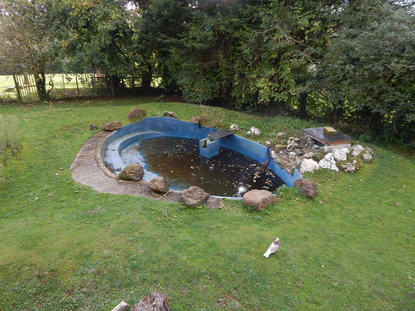Capybara enclosure 151022