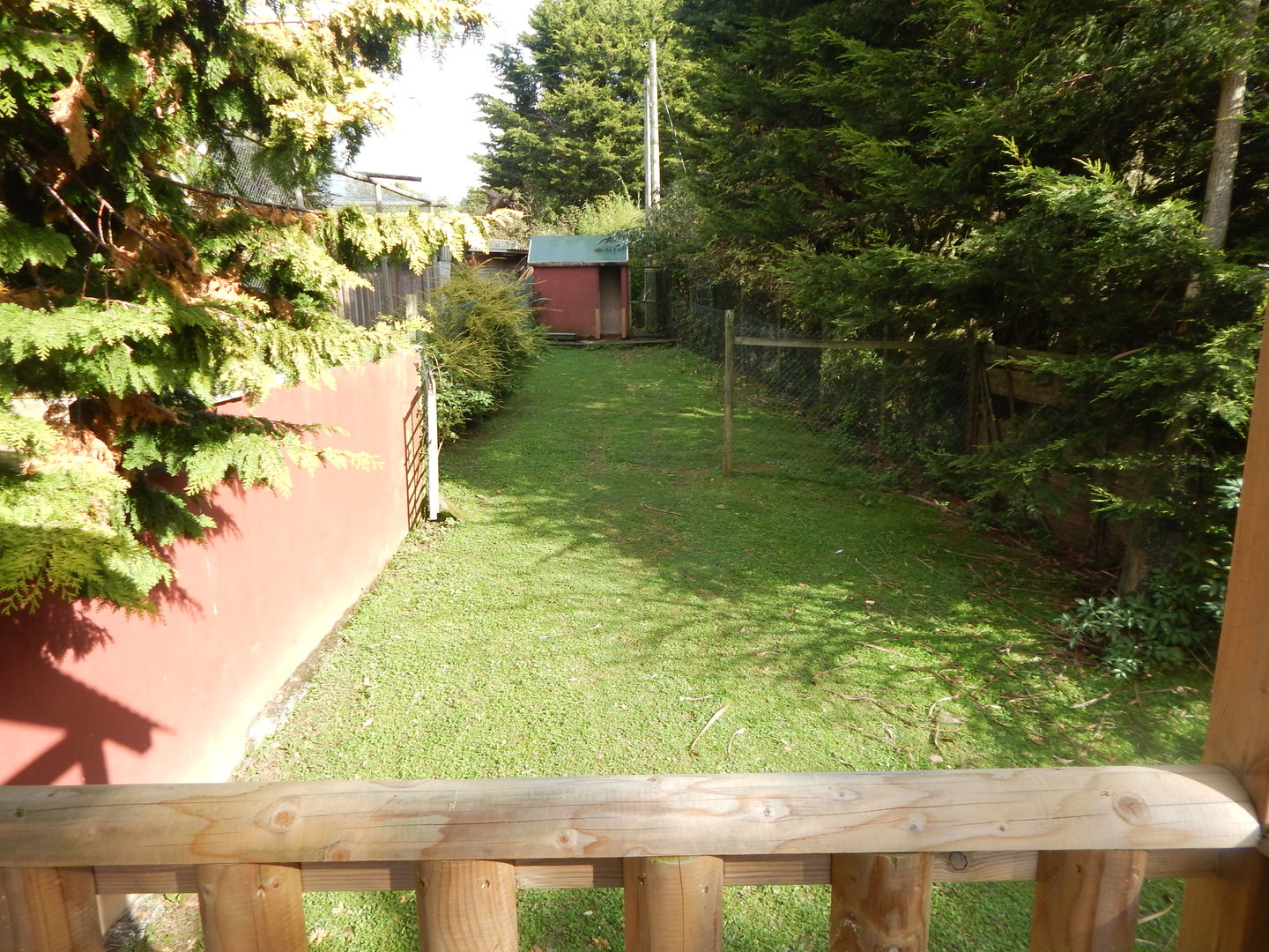 Capybara enclosure 151022
