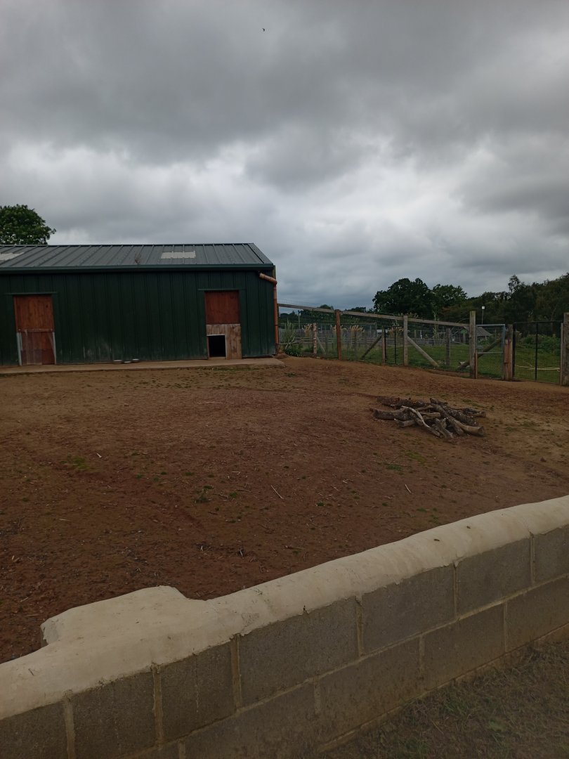 Capybara enclosure 17/8/23