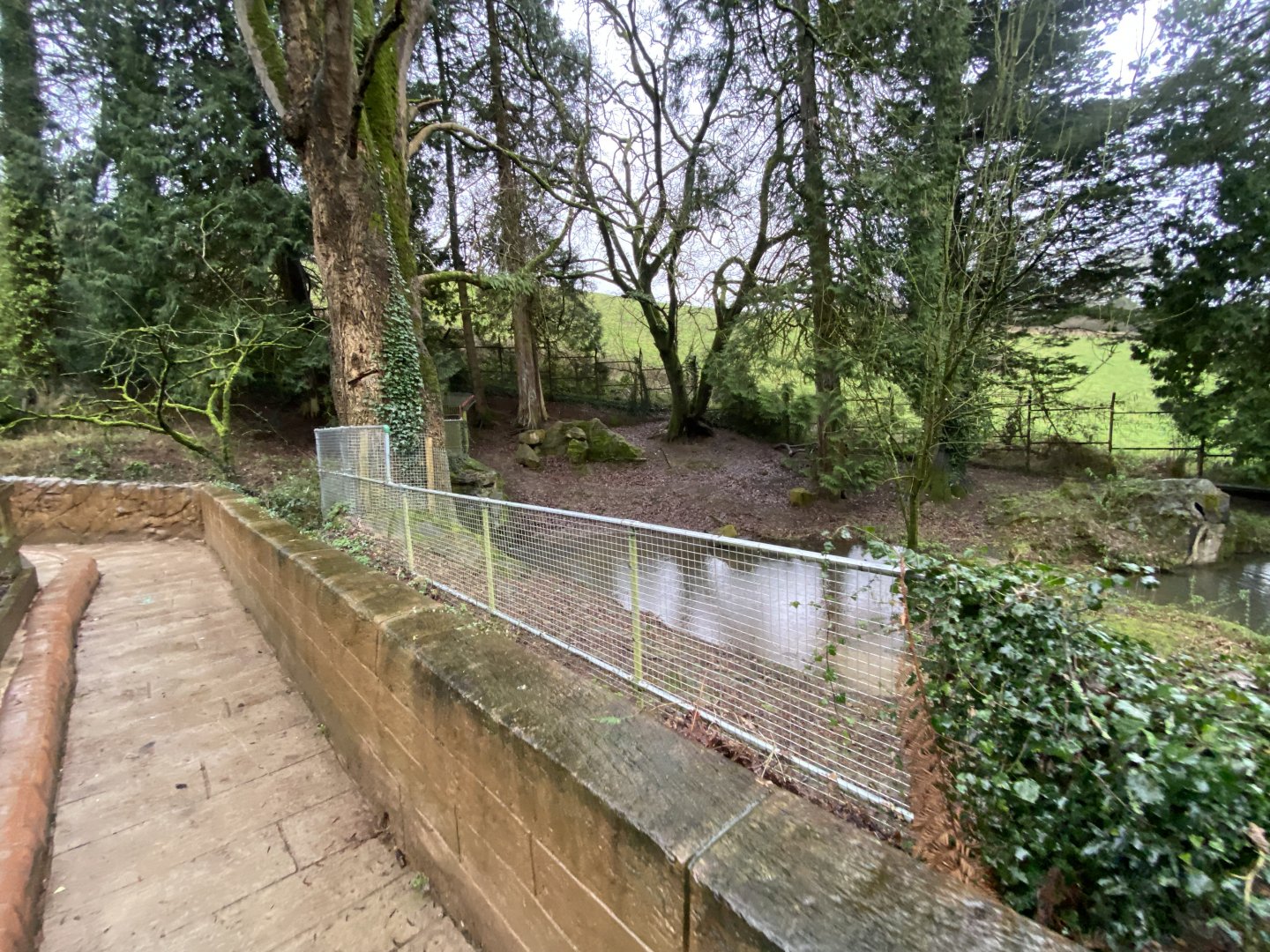 Capybara enclosure 170224