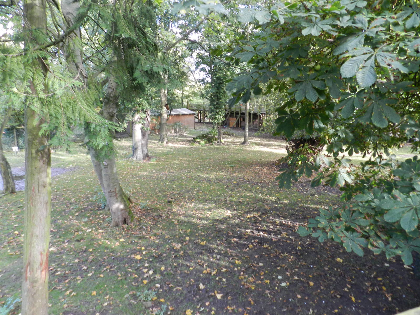 Capybara Enclosure at Flamingo Land - 14/10/2012