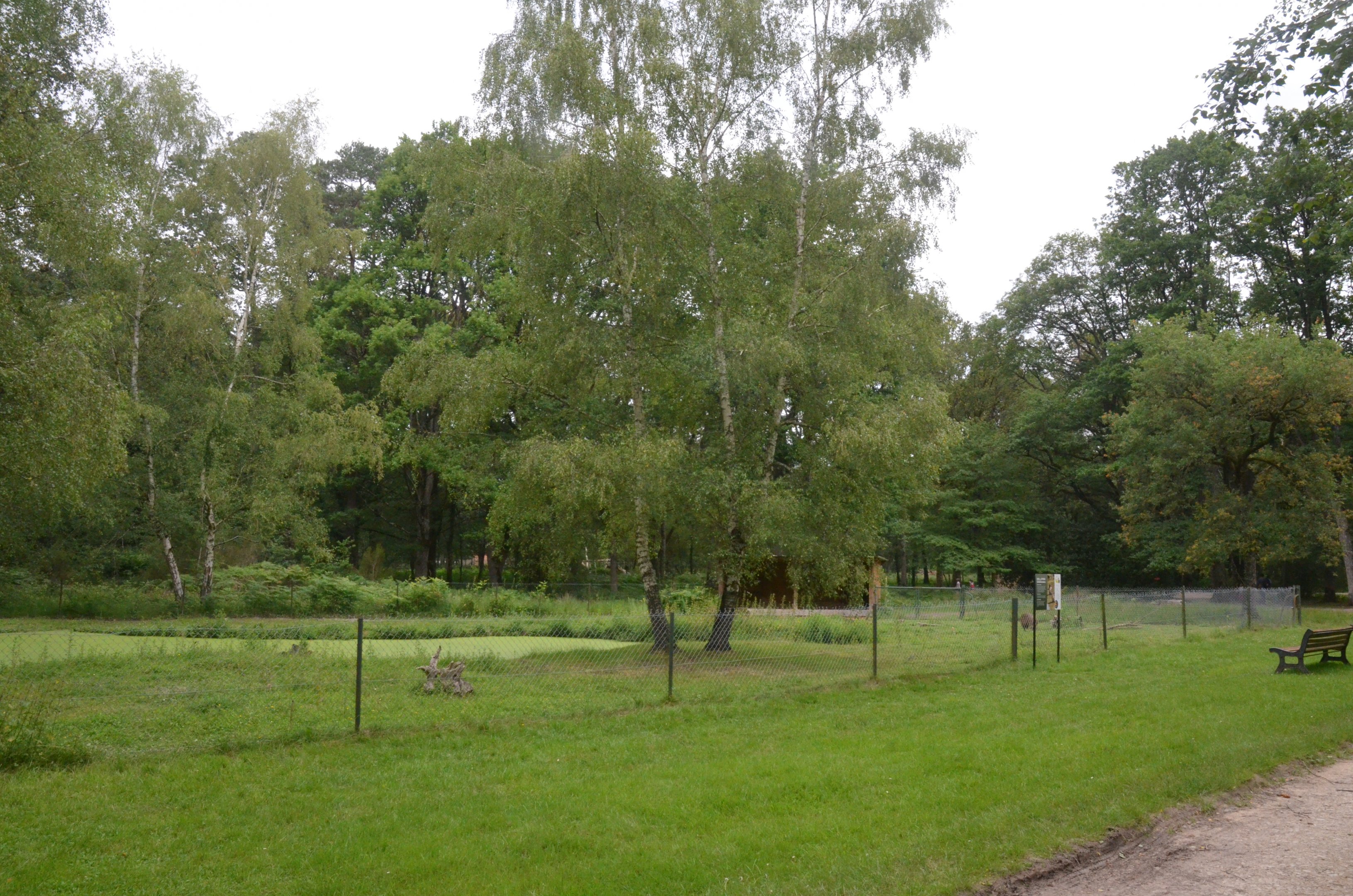 Capybara Enclosure at Haute-Touche, 14/06/18