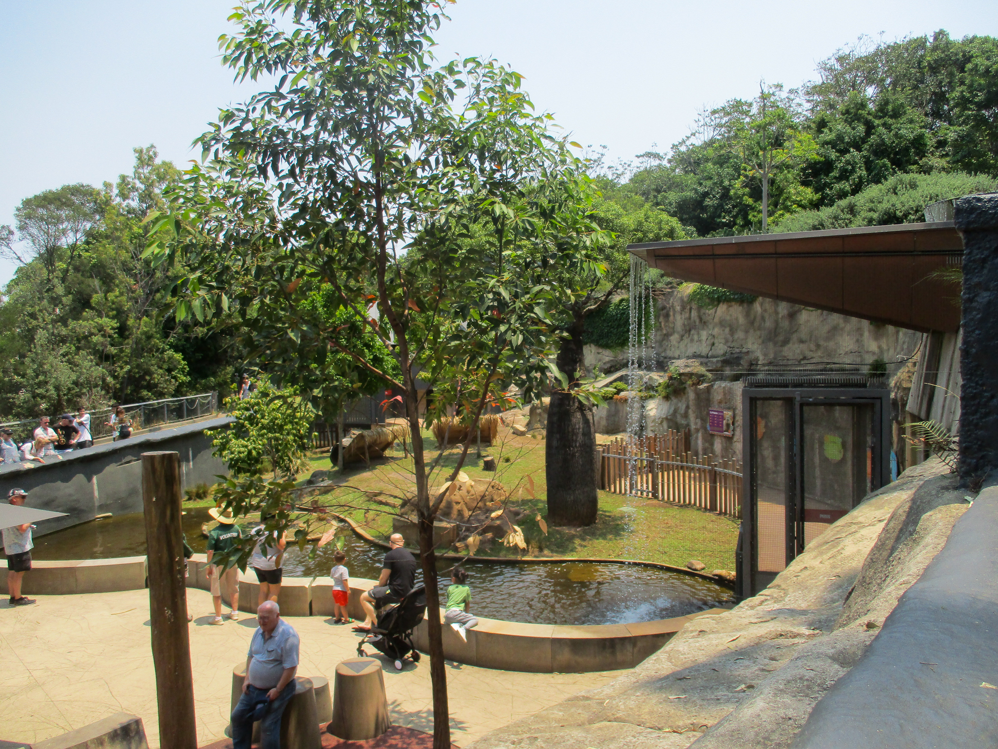 Capybara Enclosure - December 2019