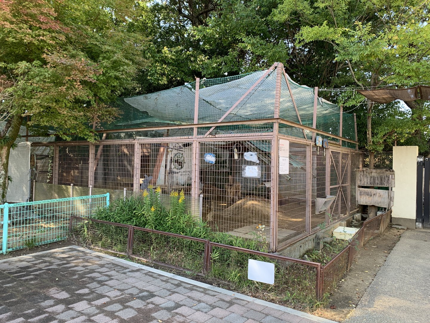 Capybara Enclosure (Himeji City Zoo)
