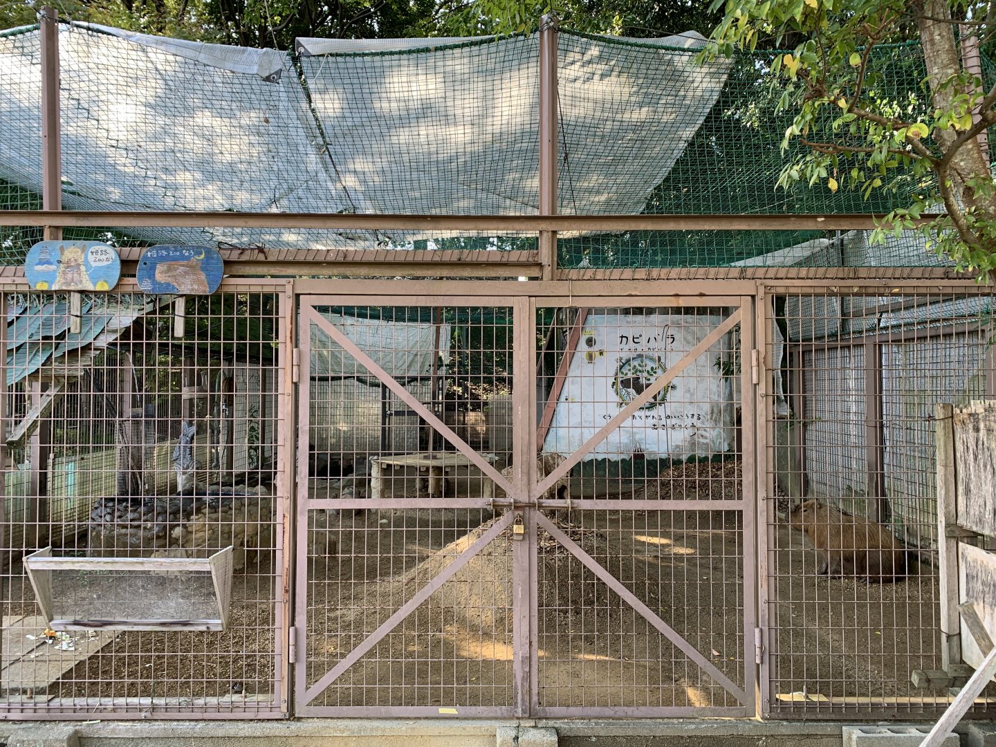 Capybara Enclosure (Himeji City Zoo)