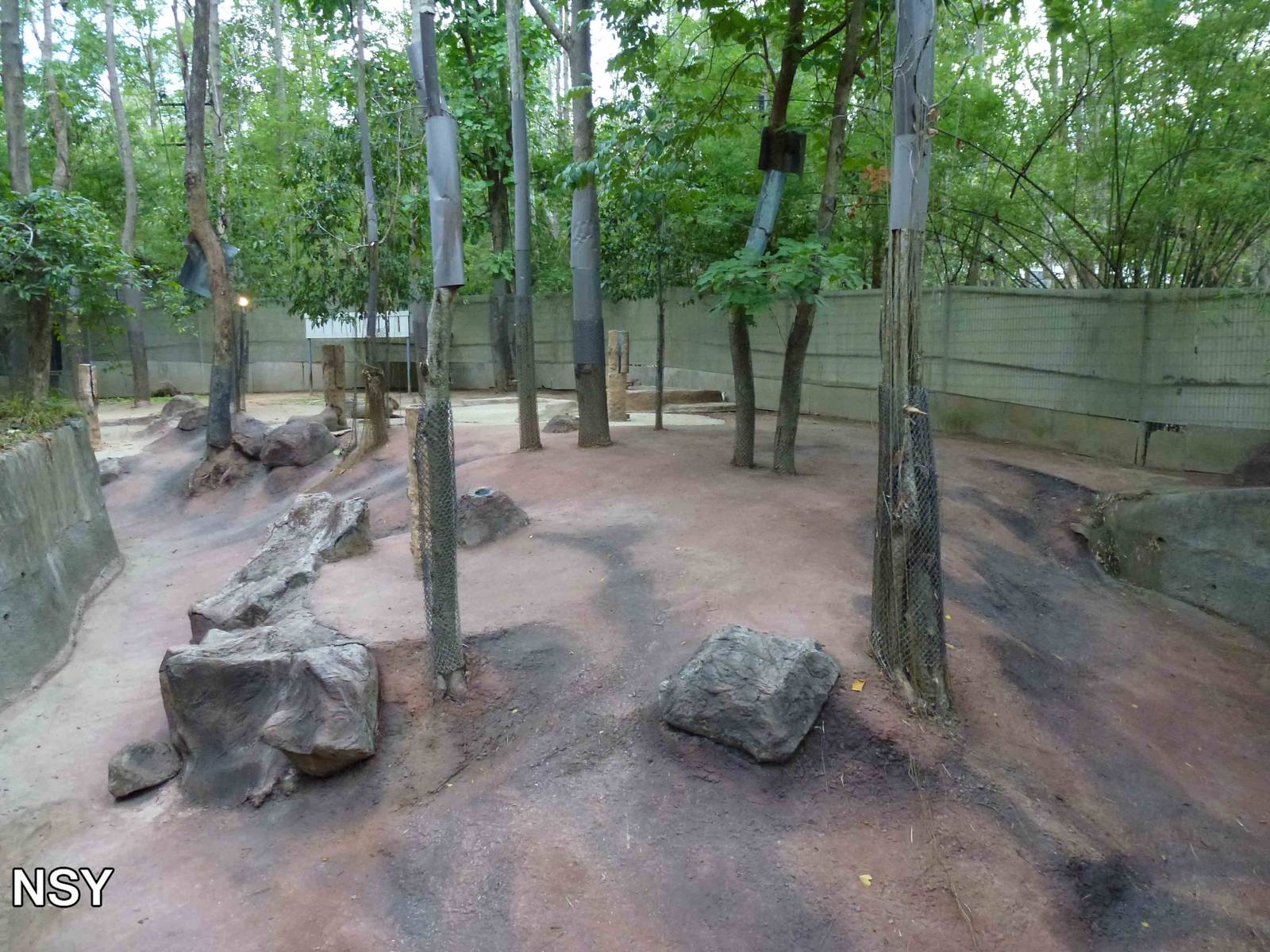 Capybara enclosure, June 2013.