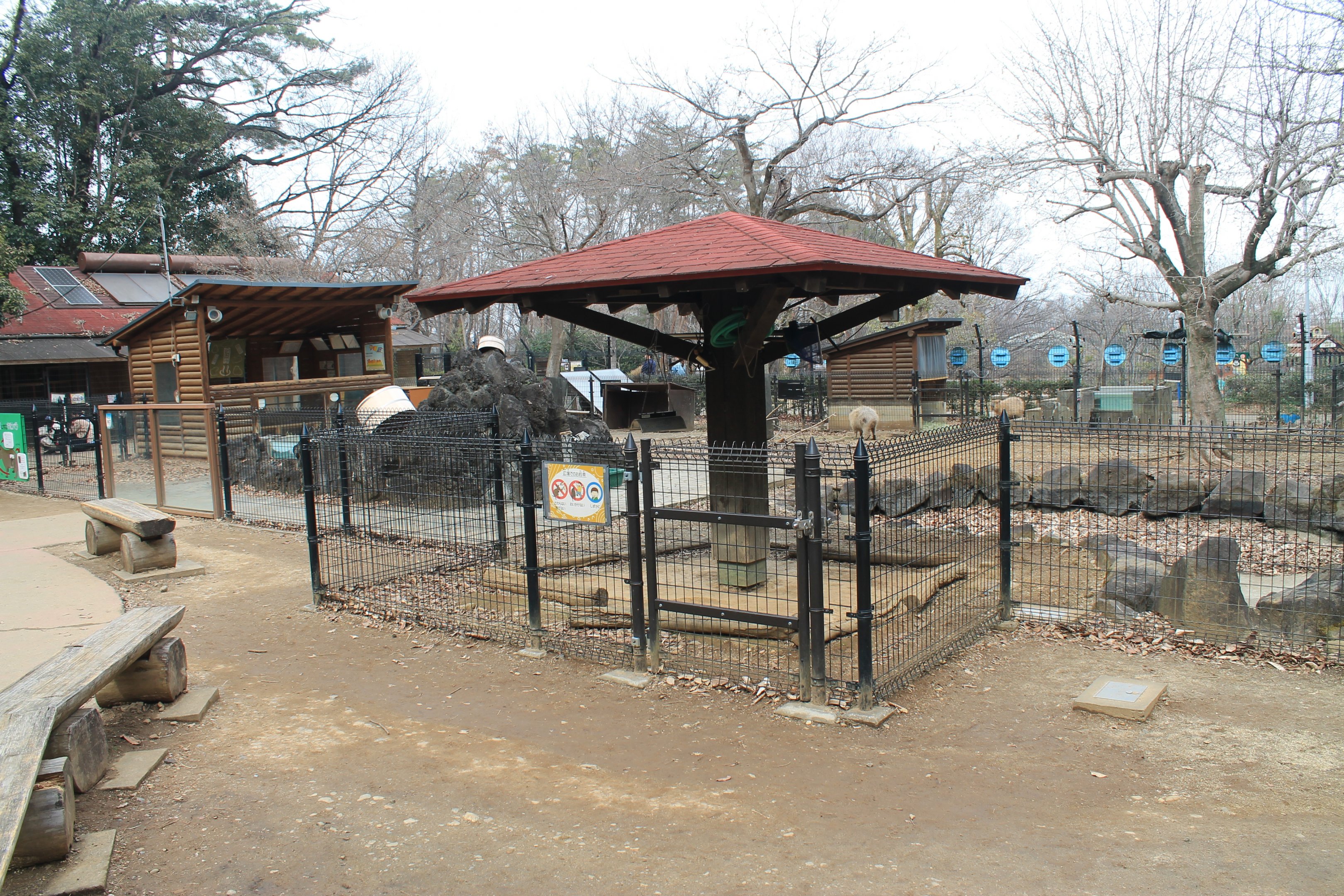 Capybara enclosure - Saitama Childrens Zoo