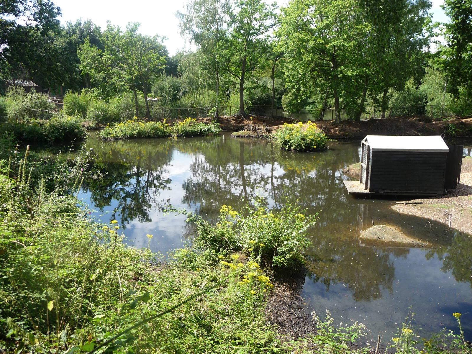 Capybara enclosure